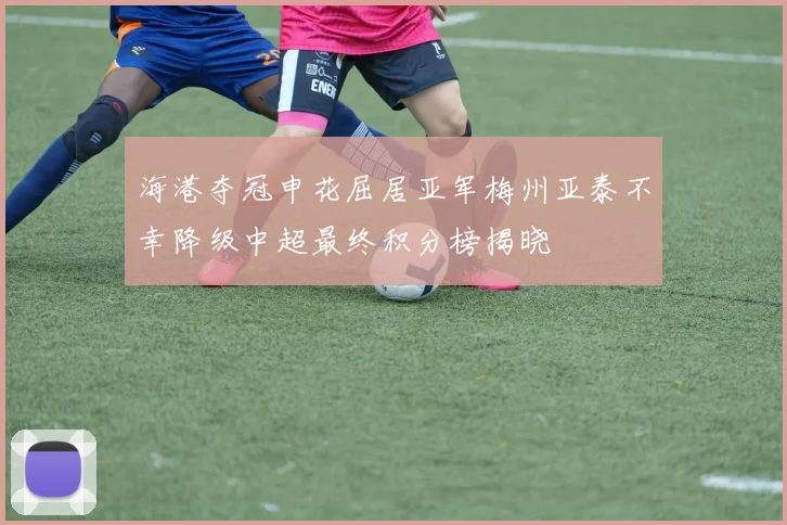 海港夺冠申花屈居亚军梅州亚泰不幸降级中超最终积分榜揭晓