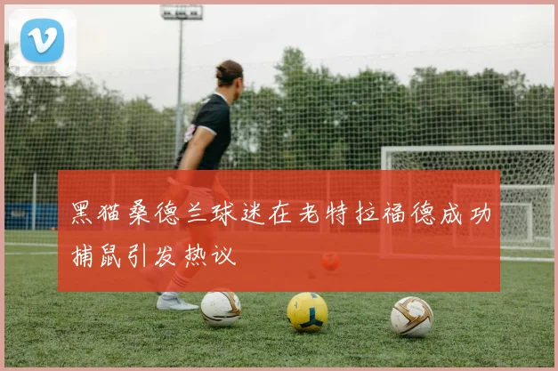 黑猫桑德兰球迷在老特拉福德成功捕鼠引发热议