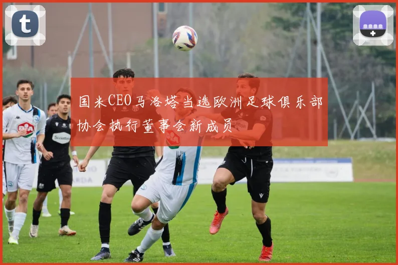 国米CEO马洛塔当选欧洲足球俱乐部协会执行董事会新成员