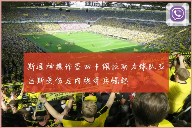 斯通神操作签回卡佩拉助力球队亚当斯受伤后内线奇兵崛起