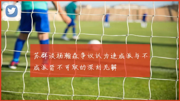 苏群谈杨瀚森争议认为速成派与不成派皆不可取的深刻见解